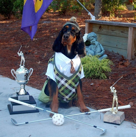 Meet your Posher, Bill - Picture 1 of 1